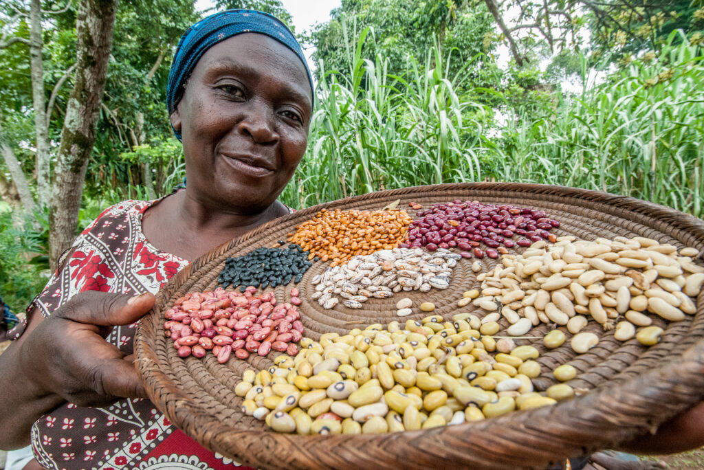 Bean diversity helps farmers tackle climate change