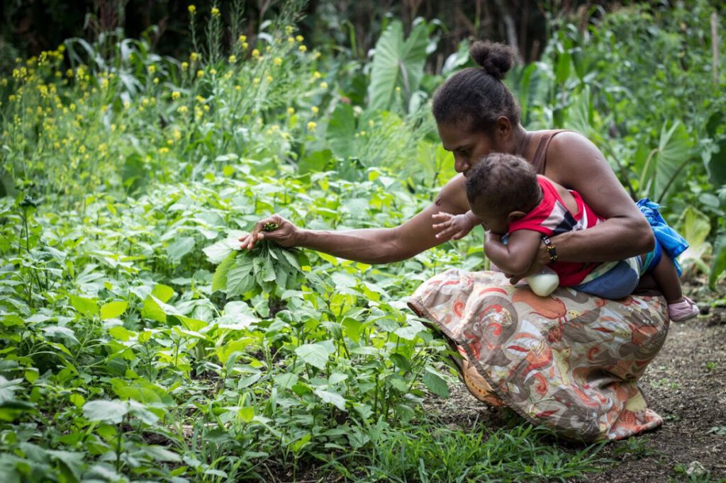 Mother and baby pick leafy vegetables in the rural Etafe Island in Vanuatu