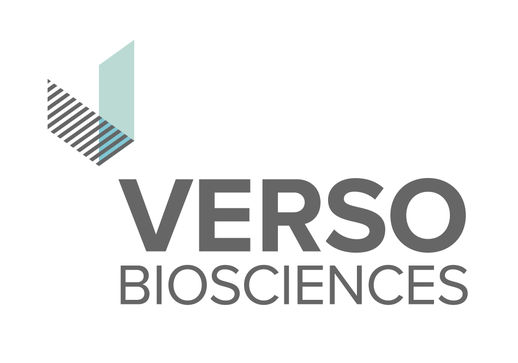 Verso Logo