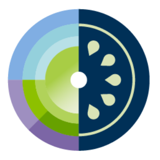 PTFI Logo